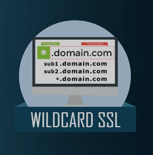 Wildcard SSL Certificates services